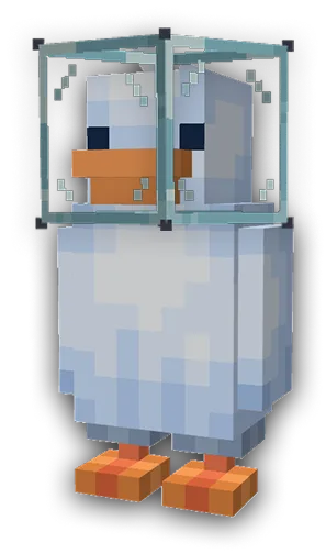 Nasa6731 - Senior duck